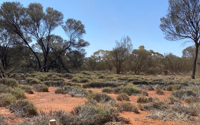 Aldoro Resources identifies 16 targets at Narndee nickel-copper-PGE project