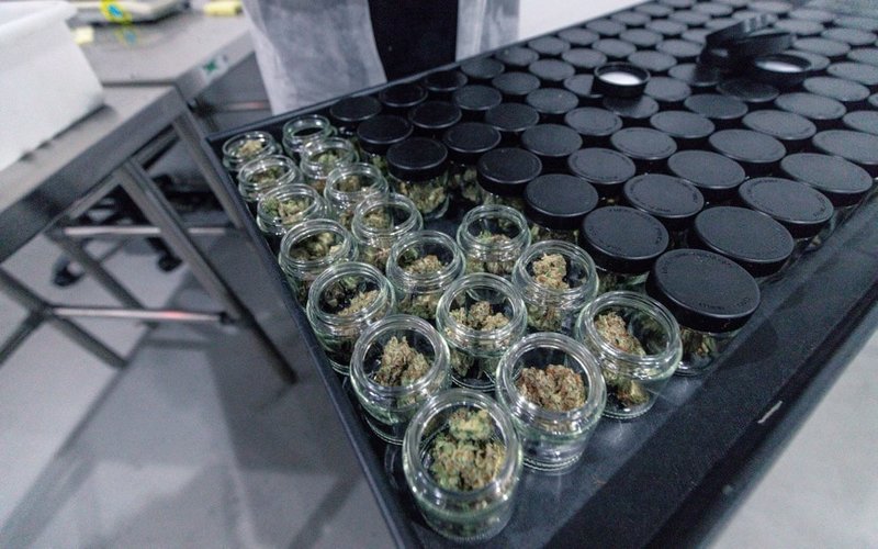 Algorae Pharmaceuticals adds cannabinoids storage to medical study plans