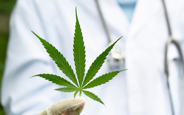 Avecho Biotechnology targets multi-billion-dollar medicinal cannabis space with patented drug delivery system