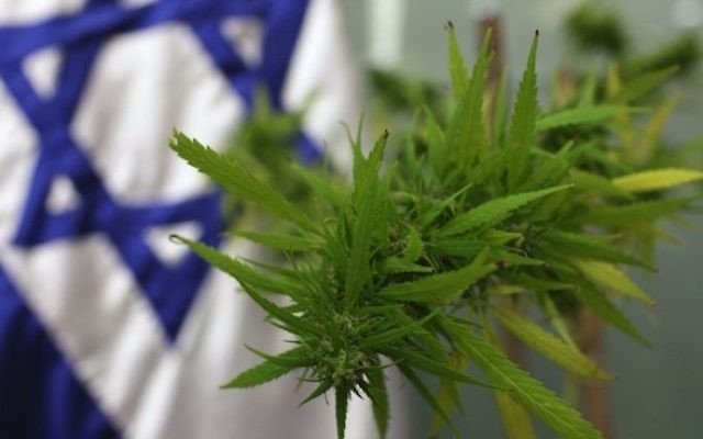 Creso Pharma aiming high for Israeli medical cannabis market