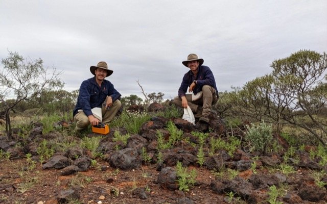 Dreadnought Resources pegs up historical gold ground next to Mangaroon REE project