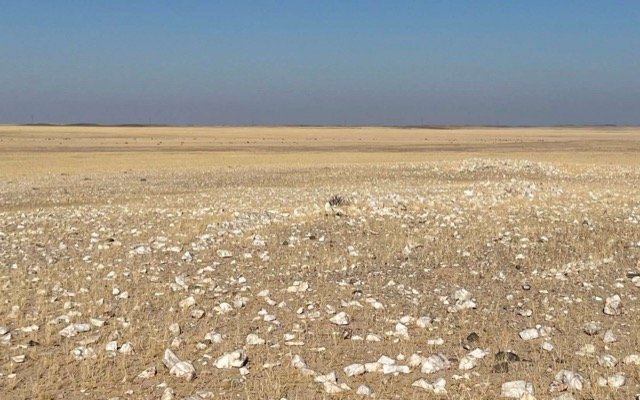 Elevate Uranium adds 10km of uranium mineralised area to Koppies project