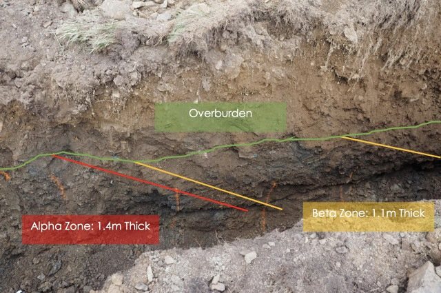 Joremeny Terget Trench European Cobalt EUC