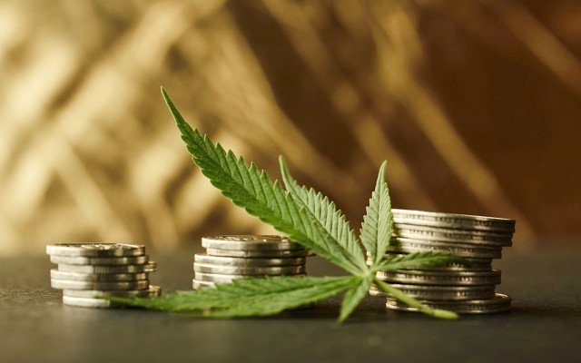 Incannex Healthcare raises close to $18m, including $8m from chief medical officer
