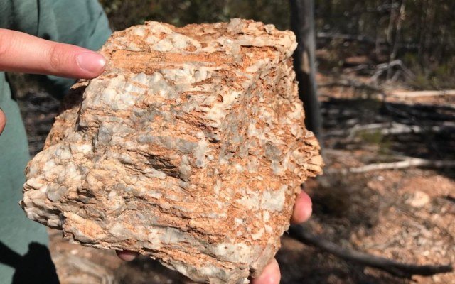 Liontown Resources unearths ‘significant’ lithium from maiden drilling at Buldania