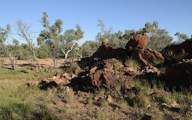 Lithium Australia uncovers lithium pegmatite swarms at Medcalf