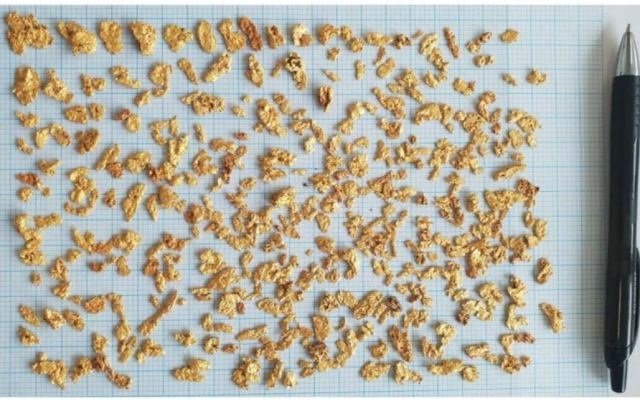 Marindi Metals scoops up ‘hundreds’ of watermelon seed-shaped gold nuggets at Bellary