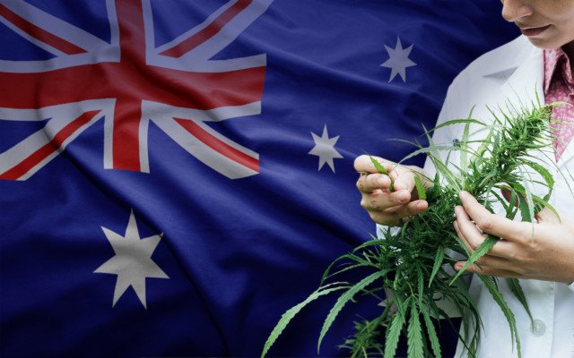 Medical cannabis access simplified under unified state agreement