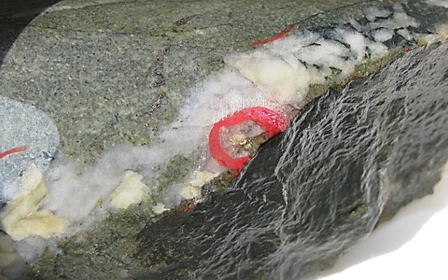 Meteoric Resources reports thick and ‘significant’ gold mineralisation at Butchers Creek