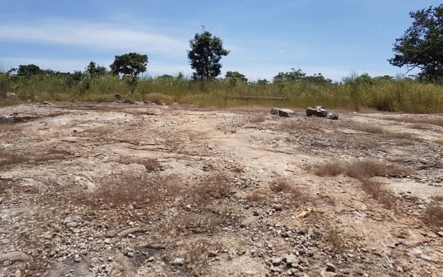 Mincore to undertake FEED study for AVZ Minerals to confirm Manono design