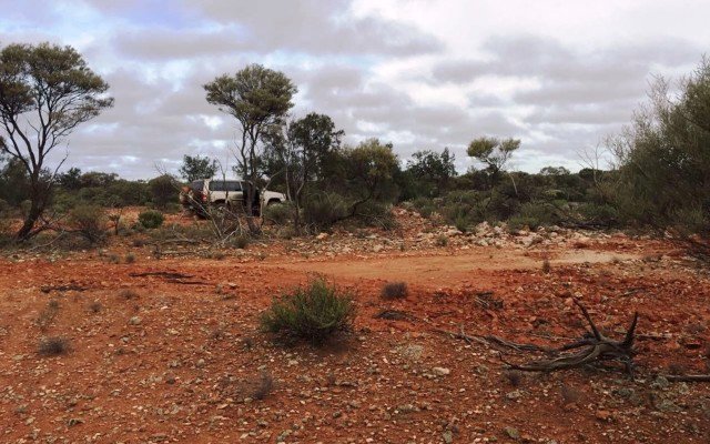 NickelX receives drilling grant for Cosmos South nickel project