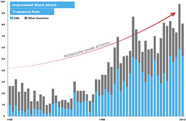 Ocean Guardian shark attack stats