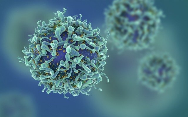 Patrys’ anti-cancer agent kills more cancer cells when combined with FDA approved olaparid
