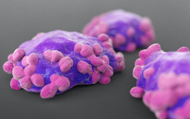 PharmAust demonstrates MPL can destroy leukaemia virus in pre-clinical research
