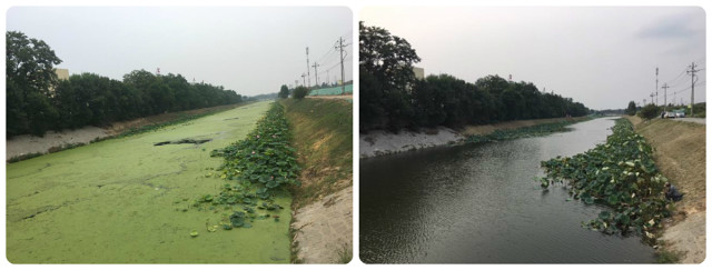 Phoslock Environmental Technologies remediation work Beijing Canal China