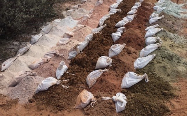 Pioneer continues exploration streak with wide, high grade cobalt at Golden Ridge