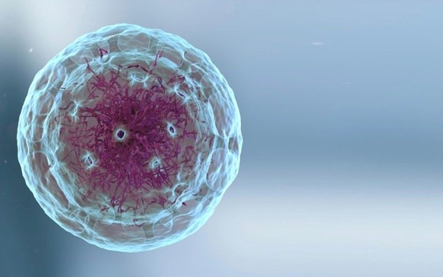 Prescient Therapeutics to progress innovative pipeline of cancer treatments with capital raise