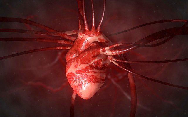 Race Oncology confirms lead drug Zantrene has cardio-protective properties during cancer treatment