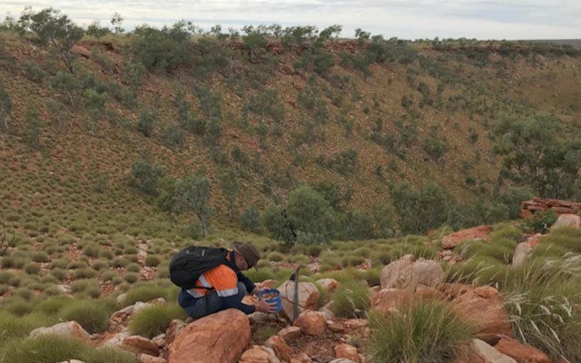 Red Mountain reveals rock chip plans for rare earths as drill hole nears gold target in WA