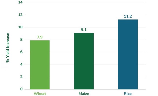 RLF AgTech Veridium yield increase chart