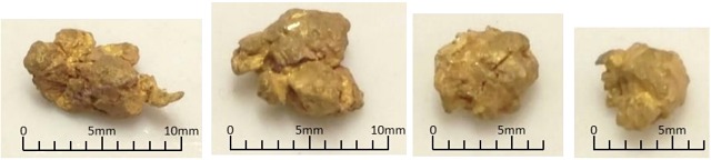 Segue Resources ASX Pilbara gold discoveries