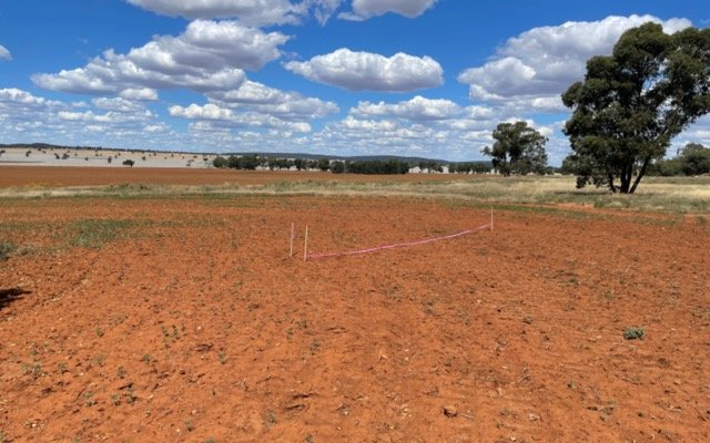 Thomson Resources hits mineralised greisens in drilling at Bygoo tin project