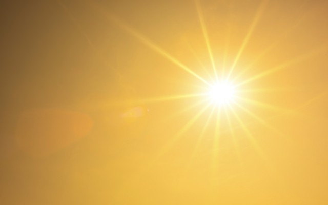 Melting point tungsten element