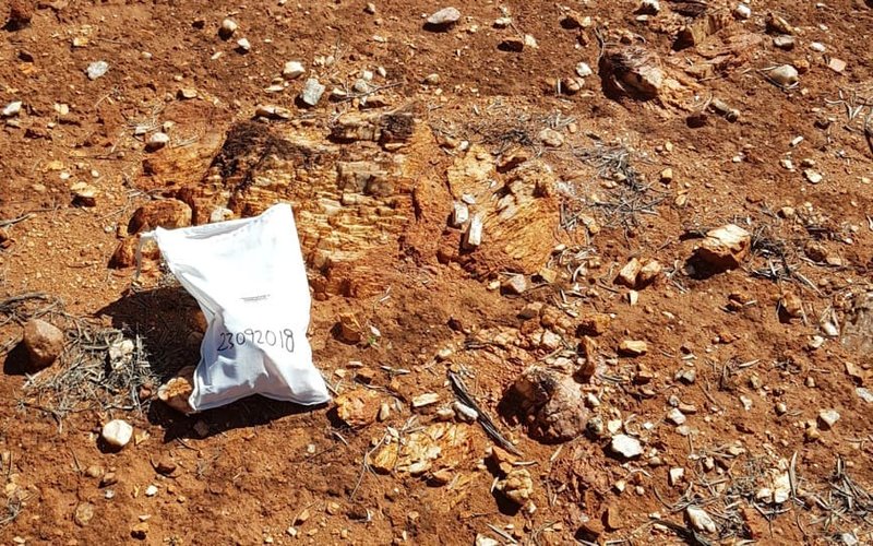 Venus Metals discovers multiple new lithium zones at Youanmi project