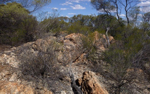 Venus Metals uncovers 5.8% lithium in rock chip samples at Henderson