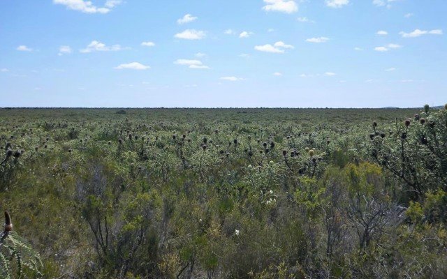 VRX Silica begins drilling at third silica sand project in WA