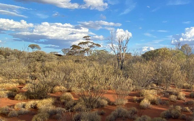 Western Mines Group expands Mulga Tank nickel-copper-PGE project