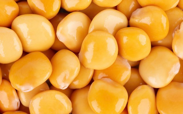 Wide Open Agriculture advances lupin protein project, confirms site for new manufacturing facility