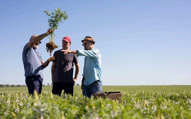 Wide Open Agriculture unveils official opening of plant-based protein pilot plant