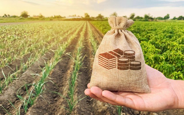Wide Open Agriculture share purchase plan more than doubles original target amount